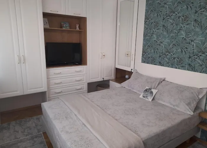 Two-room In The Center Pansiyon Misivri