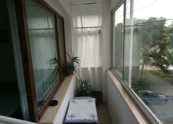 Séjour chez l'habitant Two-room In The Center